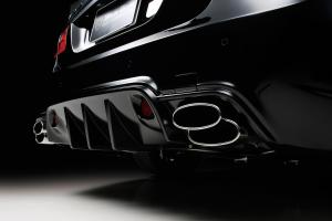 Mercedes-Benz E-Class Black Bison Edition by Wald 2010 года
